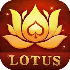 hands in teen patti download